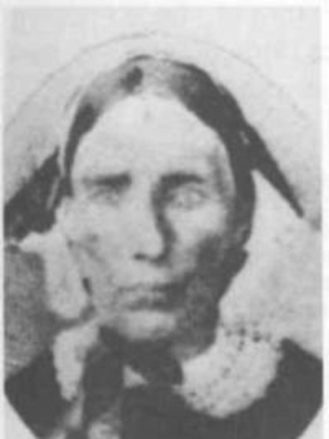 Mary Josephine Parker (1809 - 1879) Profile